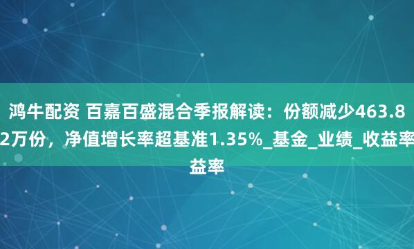 鸿牛配资 百嘉百盛混合季报解读：份额减少463.82万份，净值增长率超基准1.35%_基金_业绩_收益率