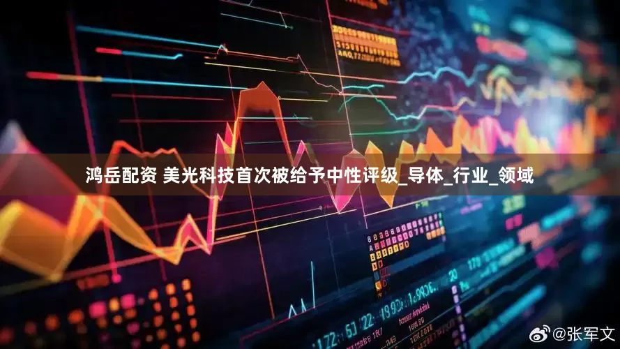 鸿岳配资 美光科技首次被给予中性评级_导体_行业_领域