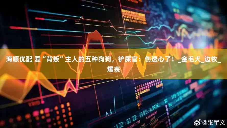 海顺优配 爱“背叛”主人的五种狗狗，铲屎官：伤透心了！_金毛犬_边牧_爆表