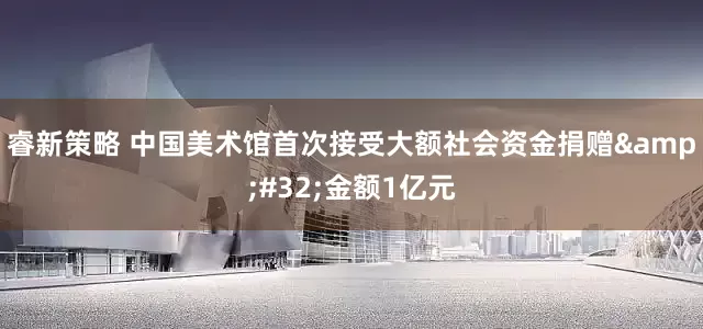 睿新策略 中国美术馆首次接受大额社会资金捐赠&#32;金额1亿元