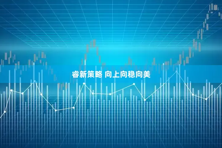 睿新策略 向上向稳向美
