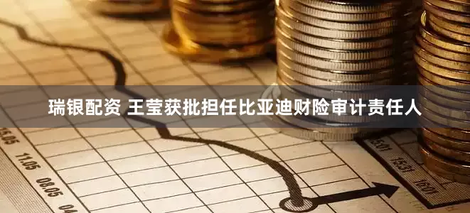 瑞银配资 王莹获批担任比亚迪财险审计责任人